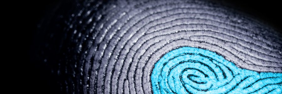 Fellowships offer data science support