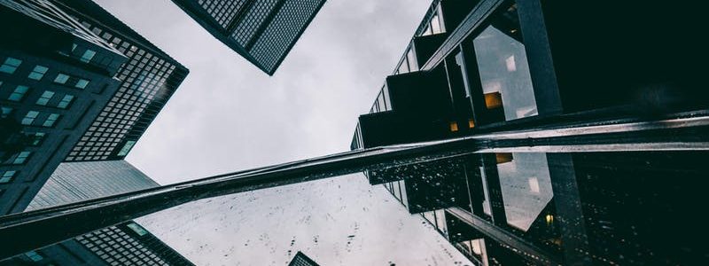 Students offer fresh insights on researchers’ work