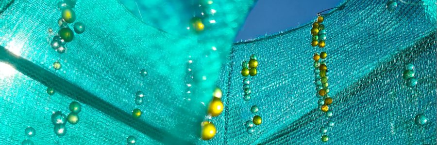 Future Present: Perspectives from the Edinburgh Futures Institute