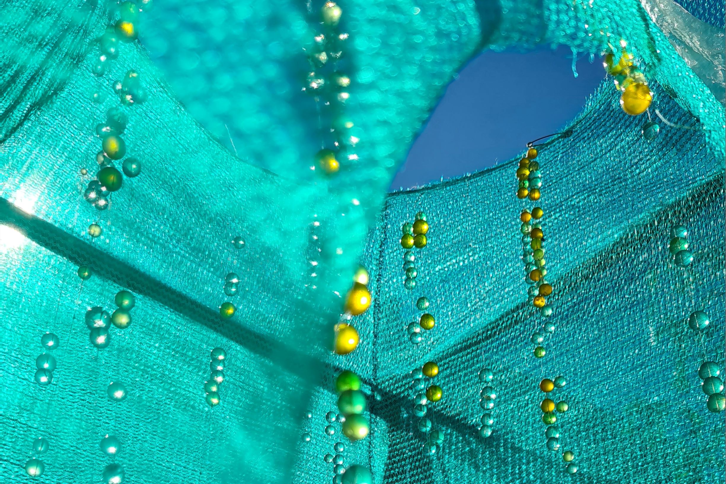 Natasha V Moody’s Ataraxia II is used courtesy of the artist