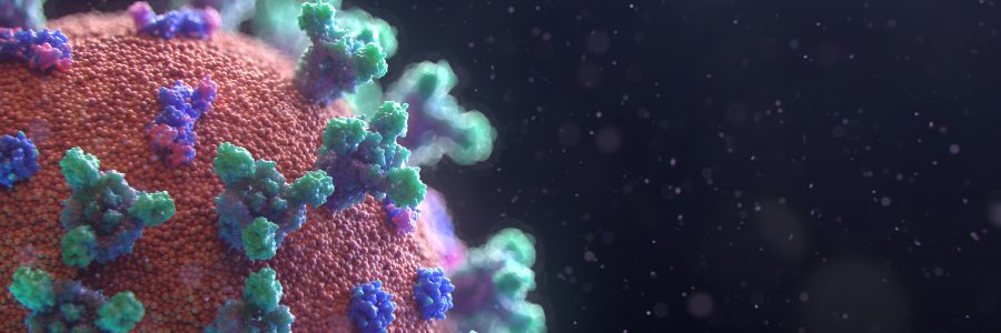 EFI responds to coronavirus pandemic with innovative research projects