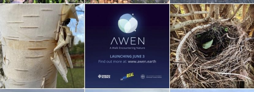 Walkabout App Encounters Nature and Climate