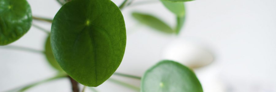 Exploring the science of financial wellbeing