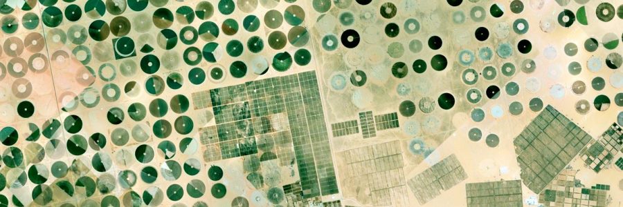 Art meets AI in a tangible exploration of global climate data in Edinburgh Science Festival Exhibition