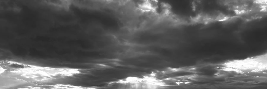 EFI student photography competition: Celebration and Exhibition